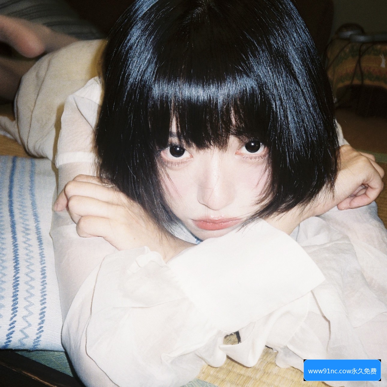 www91n官网是什么平台，提供哪些服务？