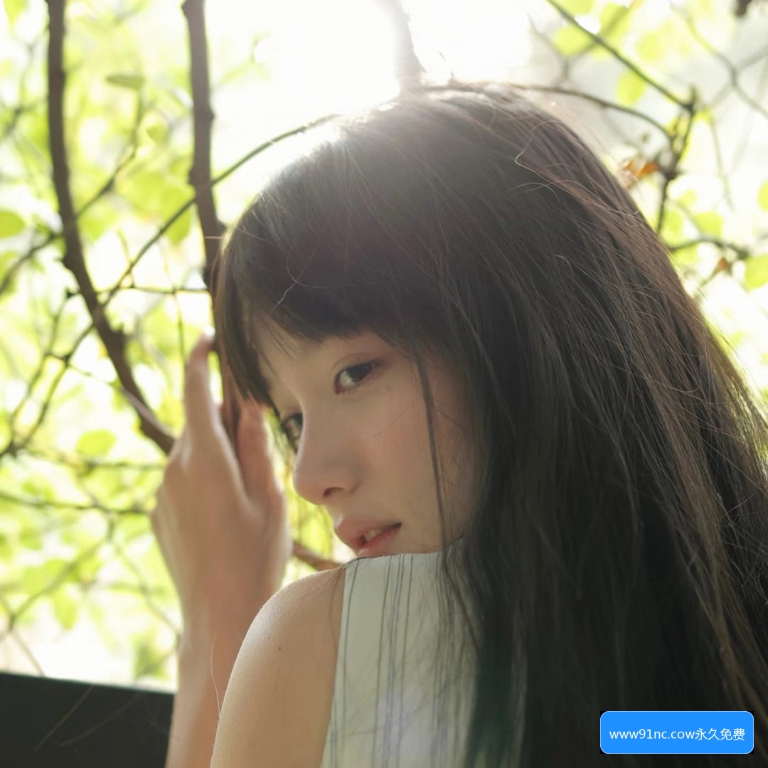 www91n官网有哪些主要功能和使用方法介绍