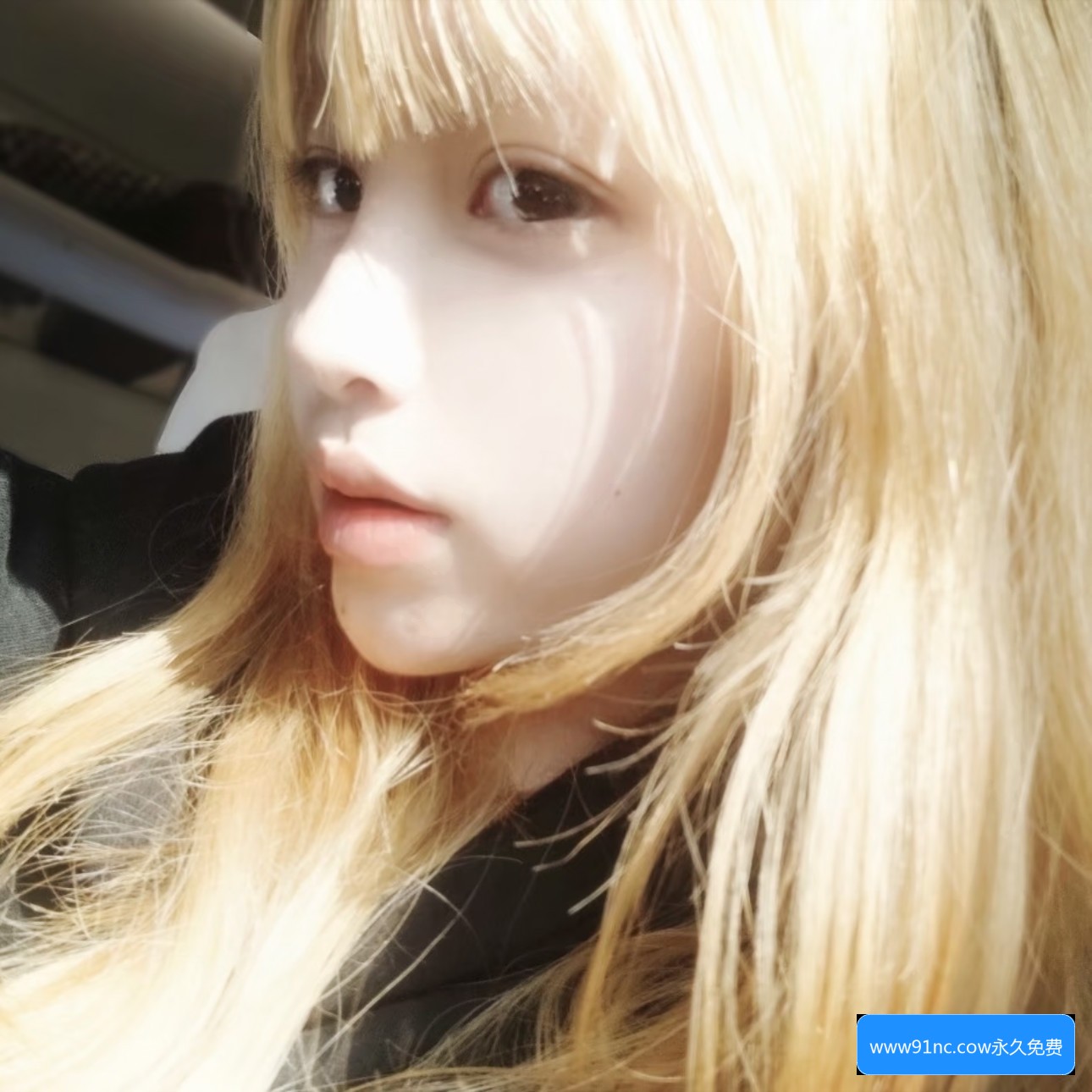 如何使用www91nc.cow实现永久免费观看内容的技巧与注意事项